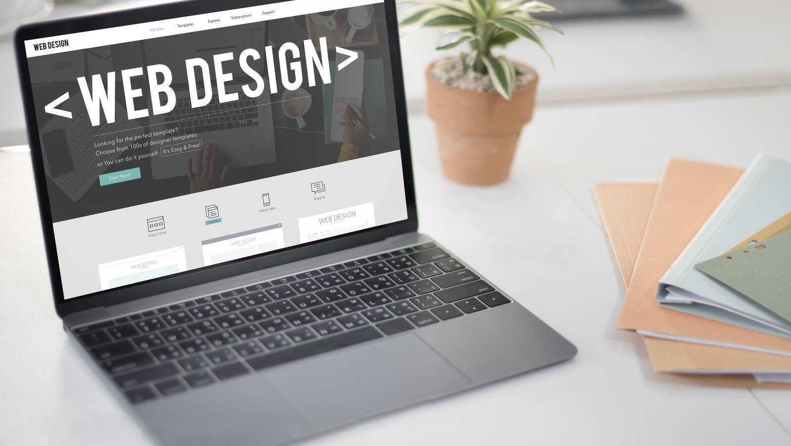 Web Hosting & Development